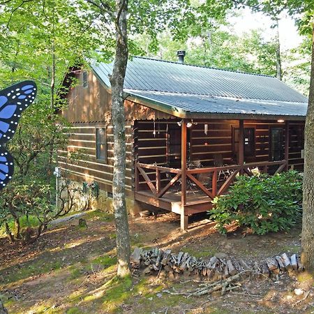 Laurel Creek- Blue Ridge Villa ภายนอก รูปภาพ