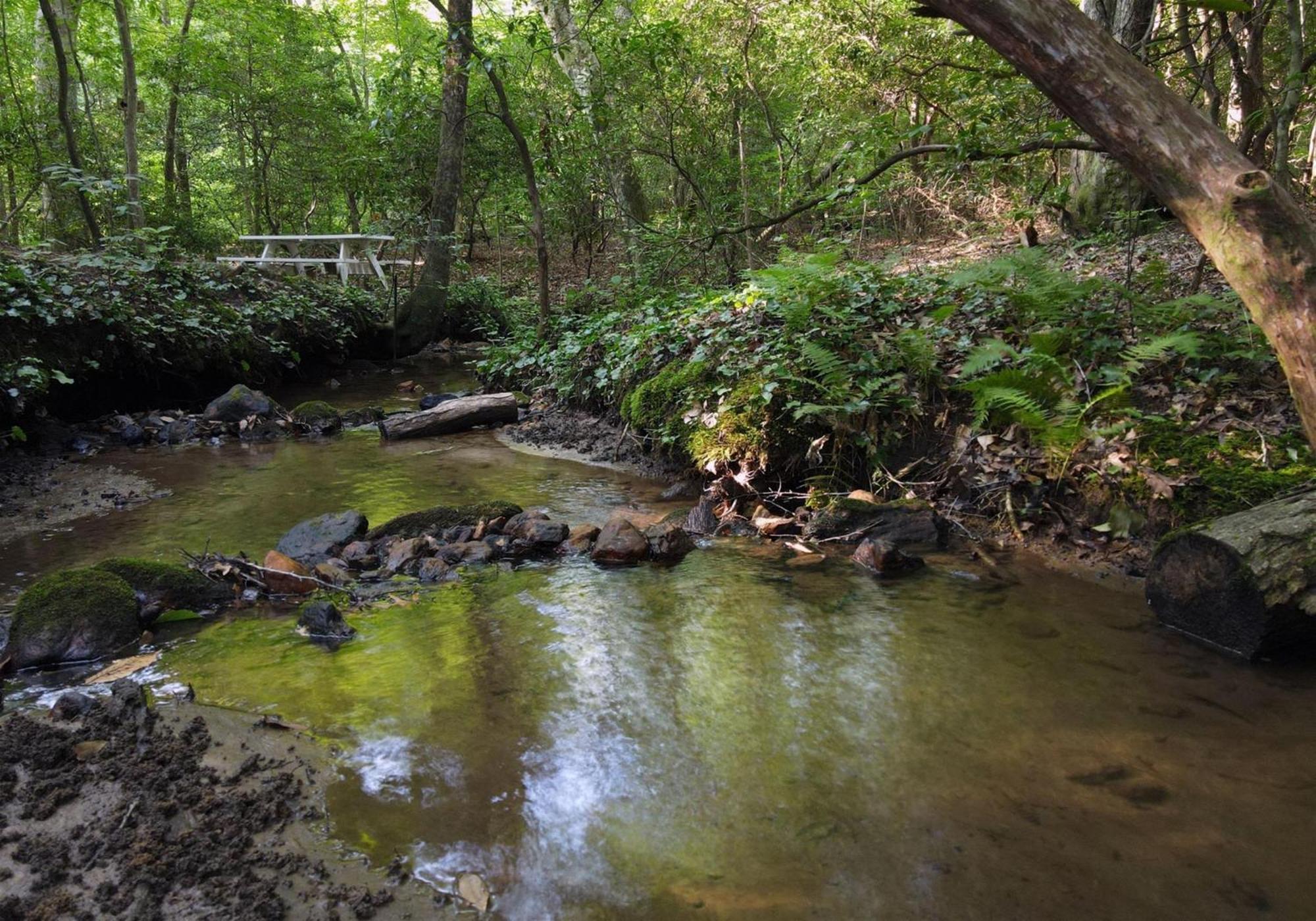 Laurel Creek- Blue Ridge Villa ภายนอก รูปภาพ