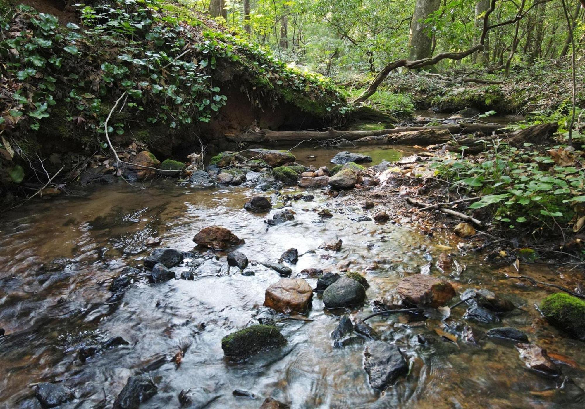Laurel Creek- Blue Ridge Villa ภายนอก รูปภาพ